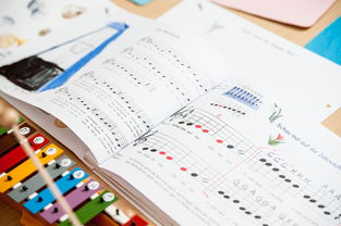 米兰网页版-中小学体育教师继续教育体系建设与实施研究，小学体育继续教育考试试题及答案