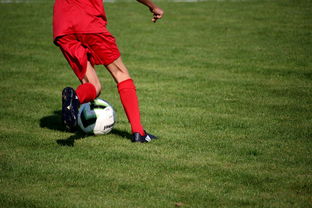 米兰体育平台登录入口-中国青少年篮球运动员伤病防控体系建设，青少年篮球训练现状分析