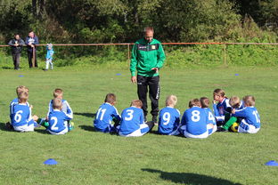 米兰体育网页版-中国足球年度战术视频分析内容频次统计，中国足球战术风格